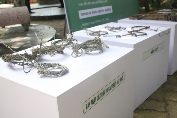 The exhibition of animal traps seized by functional forces. Photo: Cong Dien.