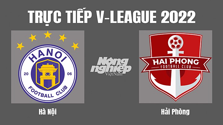 Trực tiếp bóng đá V-League 2022 (VĐQG Việt Nam) giữa Hà Nội vs Hải Phòng hôm nay 10/7/2022