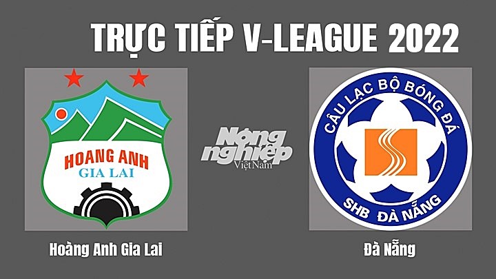 Trực tiếp bóng đá V-League 2022 (VĐQG Việt Nam) giữa HAGL vs Đà Nẵng hôm nay 10/7/2022