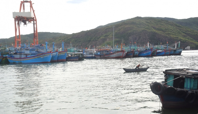 Fishing boats of Binh Dinh fishermen 'lie' ashore at Quy Nhon Fishing Port. Photo: V.D.T.