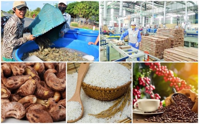 EU là thị trường quan trọng của Việt Nam với các mặt hàng xuất khẩu như cà phê, hạt điều, thủy sản, gỗ và sản phẩm gỗ…
