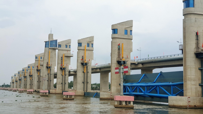 The integrated irrigation system has a positive impact on rice production in the Mekong Delta. Photo: Kim Anh.