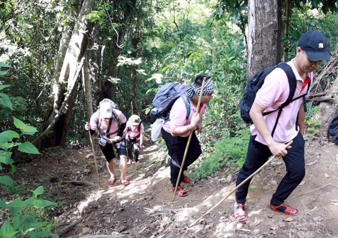 Các tình nguyện viên áo hồng leo dốc, băng rừng đến với bà con làng O2.