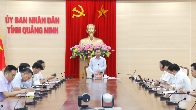 Ông Cao Tường Huy, Phó Chủ tịch Thường trực UBND tỉnh, phát biểu tại cuộc họp. Ảnh: Báo Quảng Ninh