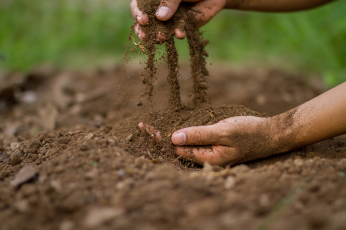 Healthy soil is incredibly complex, made up of with bacteria, protozoa, fungi, actinomycetes, nematodes and others. Photo: Shutterstock