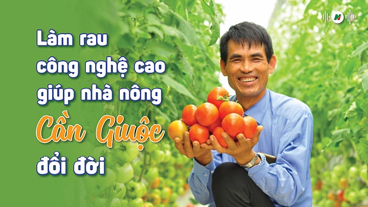 Nhà nông Cần Giuộc đổi đời nhờ làm rau công nghệ cao