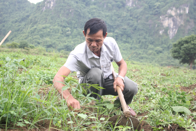 Từ một vùng đất hoang vu, ông Trịnh đã biến thành vùng đất 'đẻ ra tiền'. Ảnh: Trung Quân.