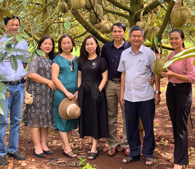 Utilizing agricultural tourism, along with investment in traffic improvement, will be a boost to our national durian production. Photo: MD.