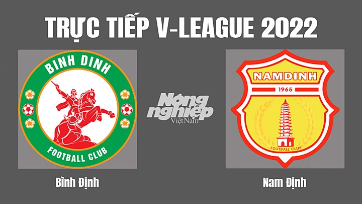 Trực tiếp bóng đá V-League 2022 (VĐQG Việt Nam) giữa Bình Định vs Nam Định hôm nay 15/7/2022