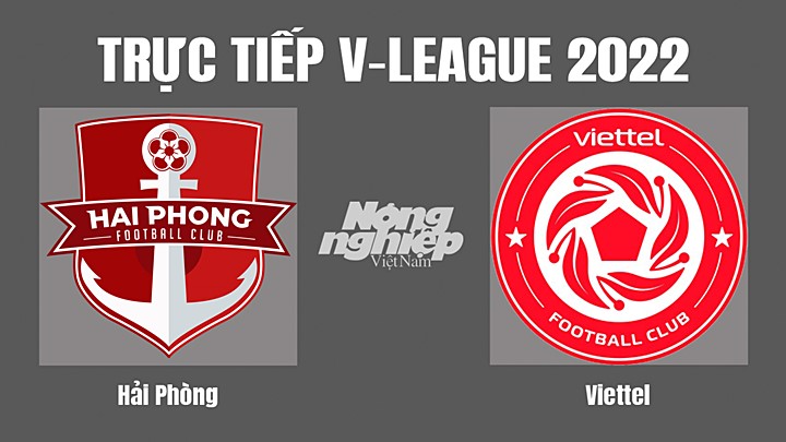 Trực tiếp bóng đá V-League 2022 (VĐQG Việt Nam) giữa Hải Phòng vs Viettel hôm nay 15/7/2022