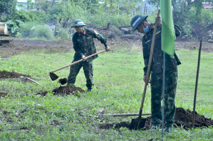 Bộ đội Quân đoàn 3 đào hố trồng cây xanh.