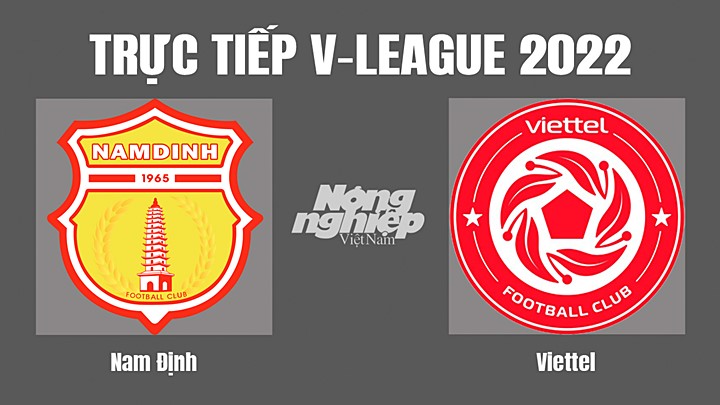 Trực tiếp bóng đá V-League 2022 (VĐQG Việt Nam) giữa Nam Định vs Viettel hôm nay 19/7/2022