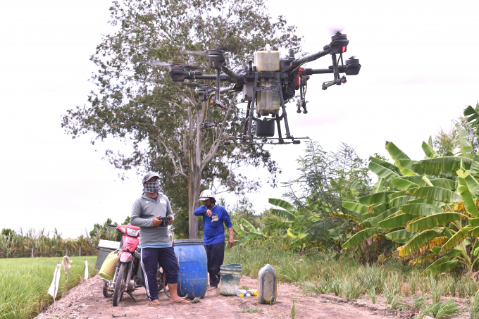 Nông dân dùng drone phun thuốc bảo vệ thực vật cho lúa. Ảnh: Minh Đảm.