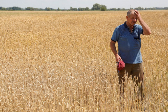 Farmer Mykola Tereshchenko reacts while speaking to Reuters about the harvest, as Russia's attack on Ukraine continues, on a wheat field in the village of Khreshchate, in Chernihiv region, Ukraine July 5, 2022. Photo: REUTERS/Valentyn Ogirenko