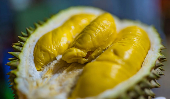 Phiên bản sầu riêng không mùi hôi của Thái Lan là bước tiến mới trong ngành lai giống trái cây. Ảnh: Shutterstock