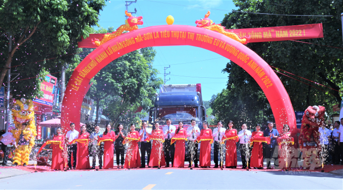 Lễ cắt băng khởi hành lô nhãn Sông mã tiêu thụ tại thị trường châu Âu và Vương quốc Anh. Ảnh: Phạm Hiếu.