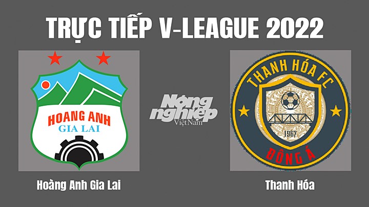 Trực tiếp bóng đá V-League 2022 (VĐQG Việt Nam) giữa HAGL vs Thanh Hóa hôm nay 24/7/2022