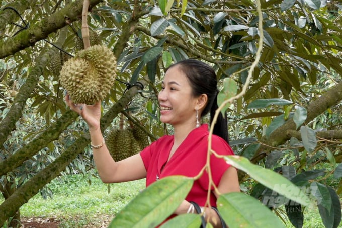 Sầu riêng được xác định là một trong những cây ăn trái chủ lực của Đồng Nai. Ảnh: Thanh Sơn.