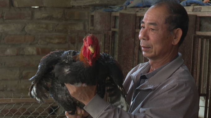 Tỉnh Bắc Ninh sẽ hỗ trợ hàng năm cho cơ sở đủ điều kiện chọn tạo, nuôi giữ giống gà Hồ với mức hỗ trợ 500.000 đồng/con giống.