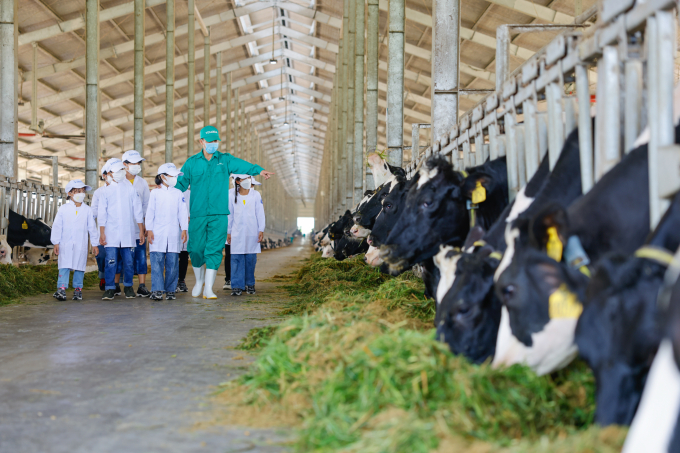 Ở Quảng Ngãi, các em thiếu nhi tại Trung tâm công tác xã hội đã có chuyến tham quan trang trại bò sữa Vinamilk Green Farm.