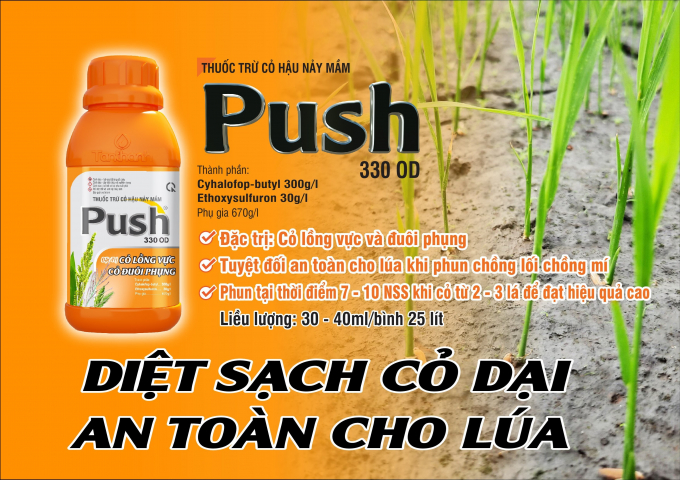 Sản phẩm Push 330OD tròn 10 năm ra mắt thị trường. Ảnh: Đỗ Thanh Tuyền.
