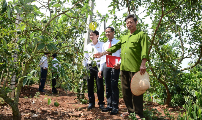 Cán bộ tín dụng Agribank huyện Krông Bông thăm mô hình sản xuất nông nghiệp của người dân trên địa bàn. Ảnh: P.L.