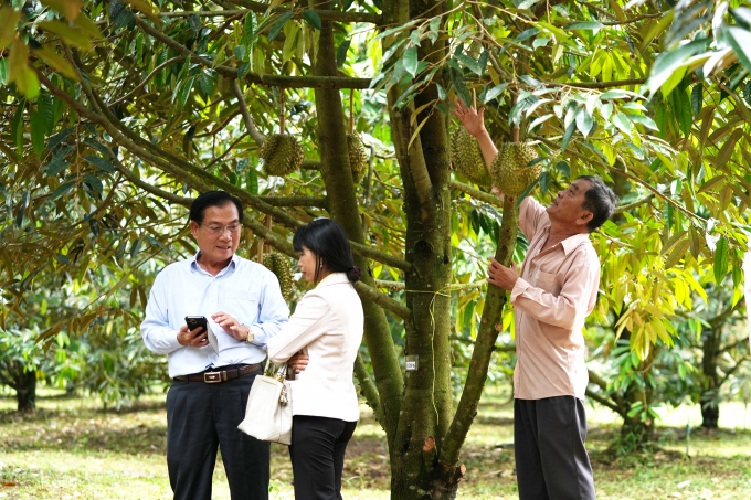 Ông Nguyễn Phú Cường, Giám đốc Công ty Cổ phần Phát triển Công nghệ sinh học Dona - Techno (ngoài cùng bên trái) trao đổi với khách hàng về sầu riêng Dona. Ảnh: Nguyễn Thủy.