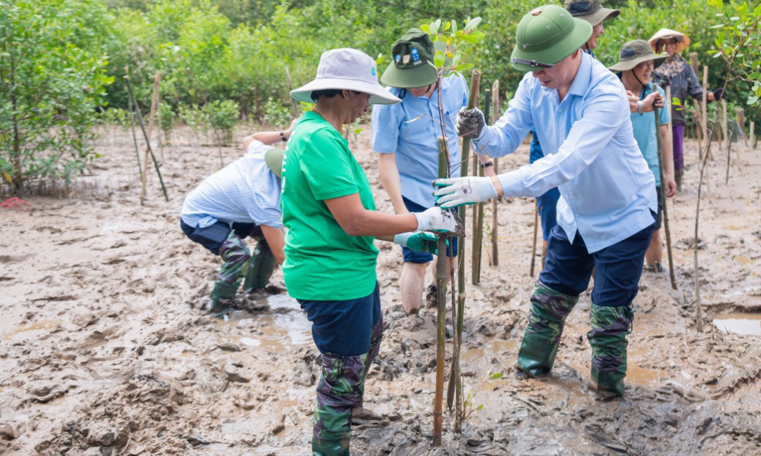 Đoàn công tác của UNDP phối hợp địa phương trồng rừng ngập mặn tại xã Đa Lộc, huyện Hậu Lộc.