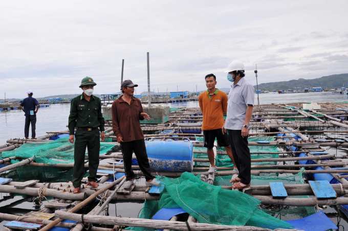 High density of lobster sea cages in Song Cau town.