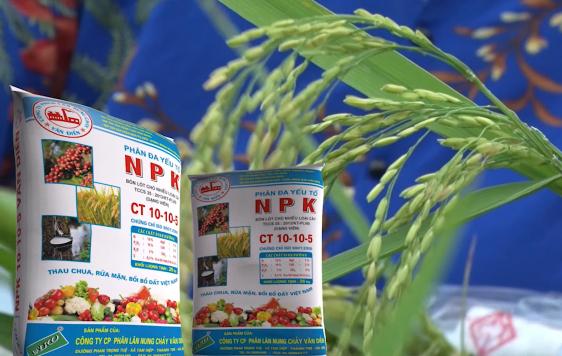 Trong các loại phân bón hiện nay, ngoài phân hữu cơ ra, chỉ có phân đa yếu tố NPK Văn Điển đáp ứng được nhu cầu trên cho cây lúa mùa. Ảnh: Vandienfmp.vn.