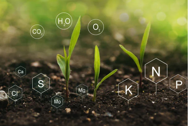 Nitrogen fertilizer is one of the most common nordfert fertilizers.