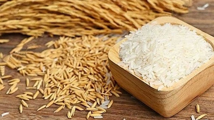 Cập nhật giá lúa gạo mới nhất hôm nay 2/8/2022