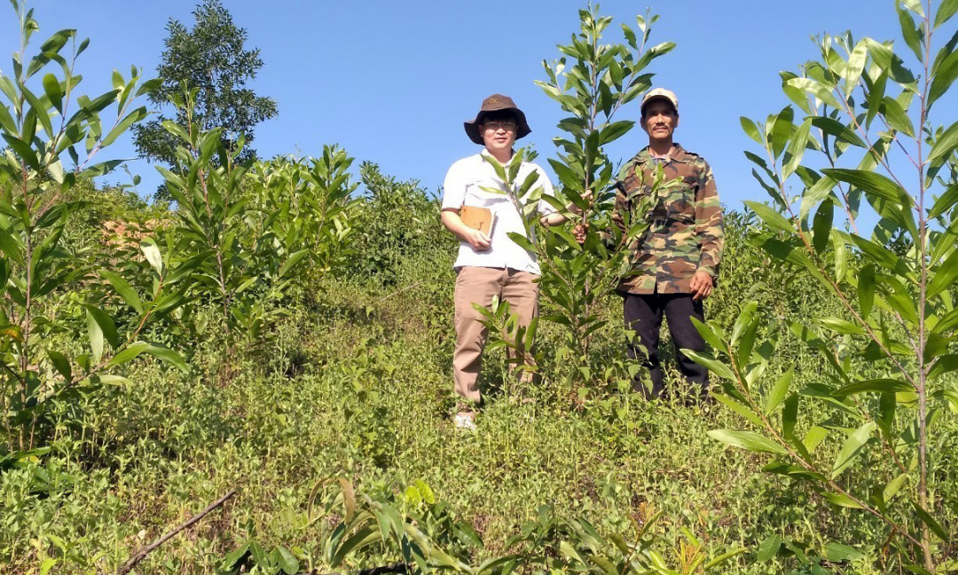 ThS. Nguyễn Hoàng Tiệp (trái) cùng người dân địa phương khảo sát mô hình quản lý rừng bền vững.