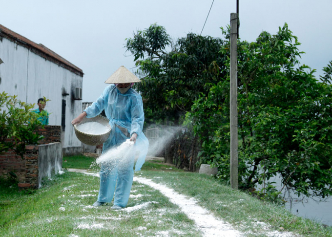 Nông dân xã Vạn Ninh, huyện Gia Bình khử trùng chuồng trại bằng vôi bột. Ảnh: T.L.