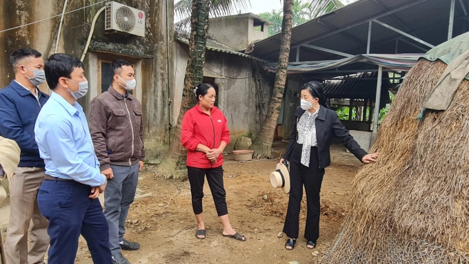 Công tác phòng chống đói rét cho đàn vật nuôi của người dân ở các tỉnh miền núi phía Bắc vẫn còn nhiều hạn chế. Ảnh: Hoàng Hữu.