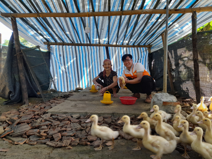 Xuyên suốt Chương trình, cán bộ Mavin và World Vision Việt Nam thường xuyên tổ chức các chuyến thăm thực địa, tư vấn tận tình cho các hộ dân chăm sóc vịt đúng cách. Ảnh: QL.