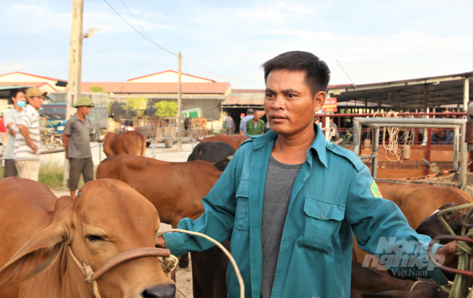Anh Mẫu, ở huyện Lộc Hà, có mặt tại phiên chợ Nhe từ 5h sáng. Những phiên chợ gần đây, anh thường mang đến 4 con bê từ 4-5 tháng tuổi để giao dịch.