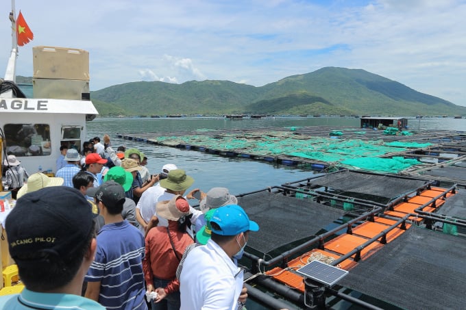 Nông dân tham quan mô hình nuôi biển bằng lồng HDPE tại vịnh Vân Phong. Ảnh: KS.