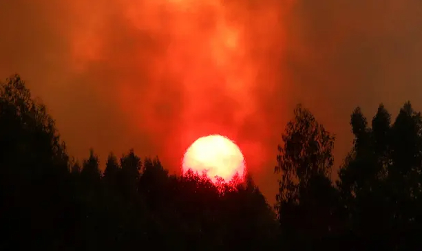 A wildfire in Mafra, Portugal, last month. ‘Studies shows intense heatwaves, hurricanes, droughts and floods have been made far more likely by greenhouse gas emissions.’ Photo: Reuters