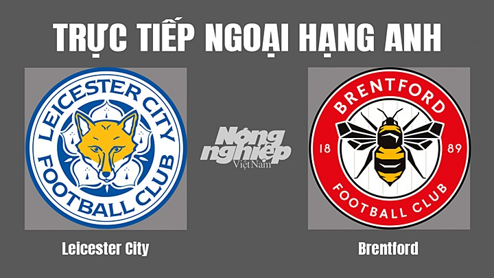 Trực tiếp bóng đá Ngoại hạng Anh giữa Leicester City vs Brentford hôm nay 7/8/2022