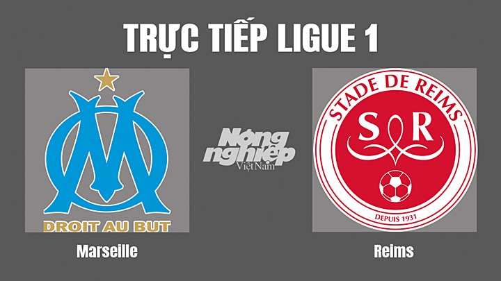 Trực tiếp bóng đá Ligue 1 giữa Marseille vs Reims hôm nay 8/8/2022