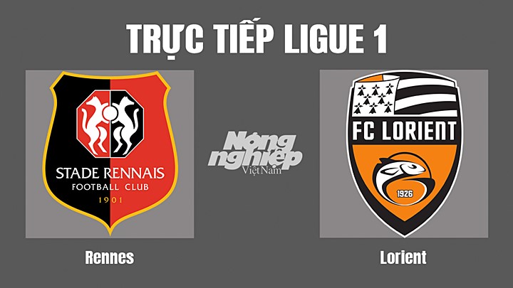 Trực tiếp bóng đá Ligue 1 giữa Rennes vs Lorient hôm nay 7/8/2022