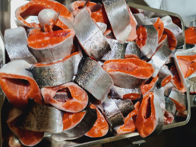 Sliced ​​salmon is preliminarily processed for packaging before being sold to the market. Photo: QD.