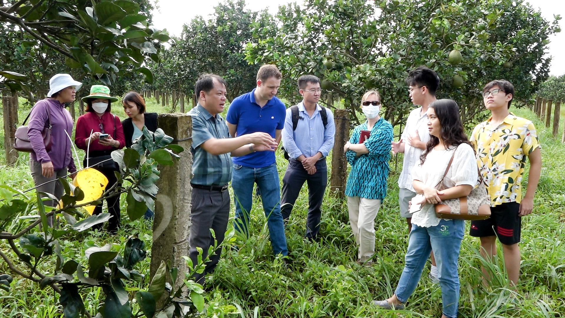 Đoàn thành viên CLB đổi mới sáng tạo phía Nam cùng các chuyên gia quốc tế đi tham quan, khảo sát các vườn cây ăn quả hữu cơ và vườn rau công nghệ cao. Ảnh: Minh Sáng.