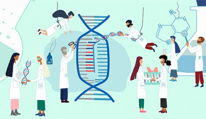 Công nghệ chỉnh sửa gen CRISPR đã tạo ra một cuộc cách mạng trong kỹ thuật di truyền. Nguồn: Adobe Stock