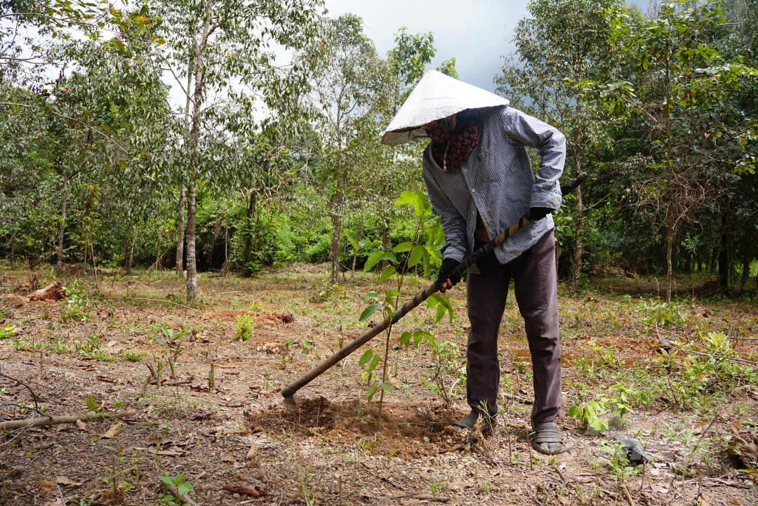 Người dân địa phương cùng tham gia trồng cây. Ảnh: Nguyễn Thủy.