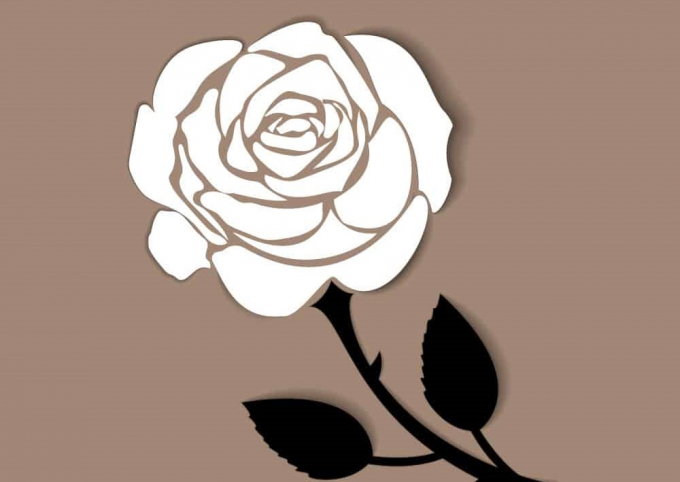 Bông hồng trắng đánh dấu một số phận mồ côi.