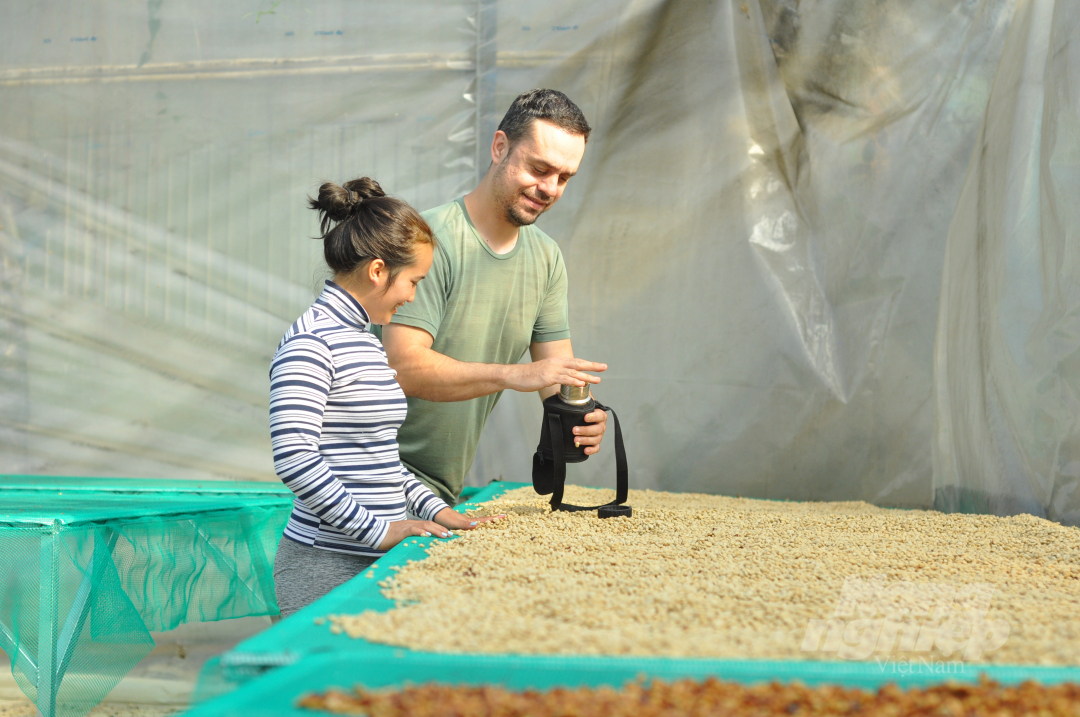 Currently, the couple has co-operated with 20 households of Lach, K'Ho, and Cil people in Lac Duong to produce coffee. Photo: Minh Hau.