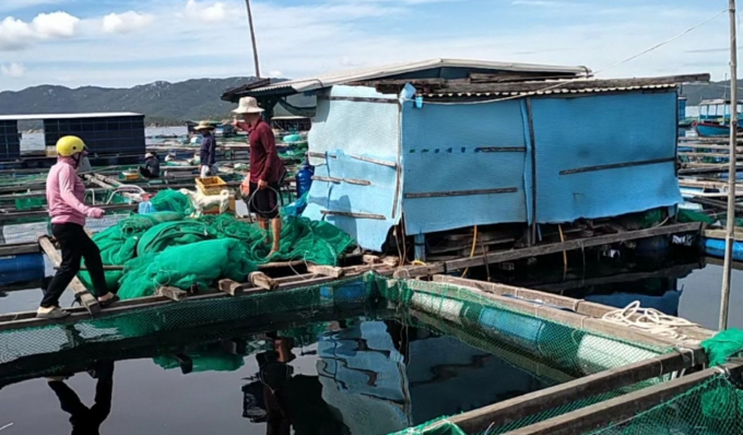 Bè nuôi trồng thủy sản của anh Phạm Thành Thái, ở Đầm Môn, xã Vạn Thạnh. Ảnh: KS.