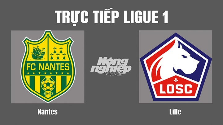 Trực tiếp bóng đá Ligue 1 giữa Nantes vs Lille hôm nay 13/8/2022